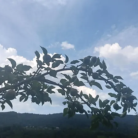 Impression Of Karpaty Yaremche