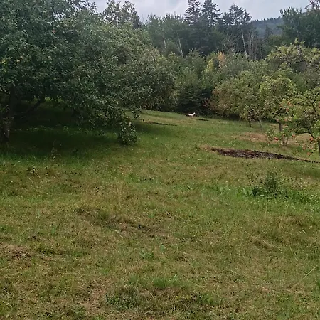 Impression Of Karpaty Hytte *