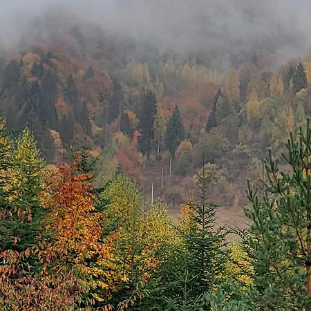 Impression Of Karpaty Lodge *