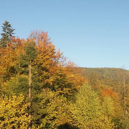 Impression Of Karpaty Lodge *